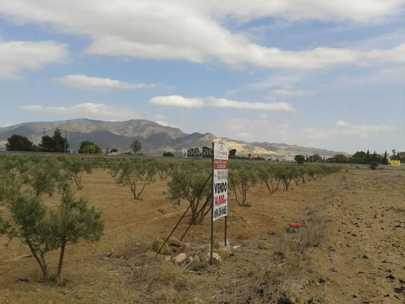 Terreny industrial en venda a Alhama de Murcia ciudad, imagen 2