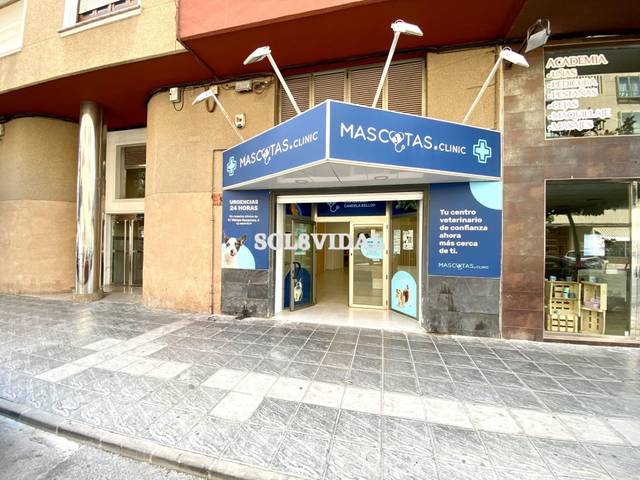 Local comercial en Alquiler en Avenida VEGA en Orihuela ciudad