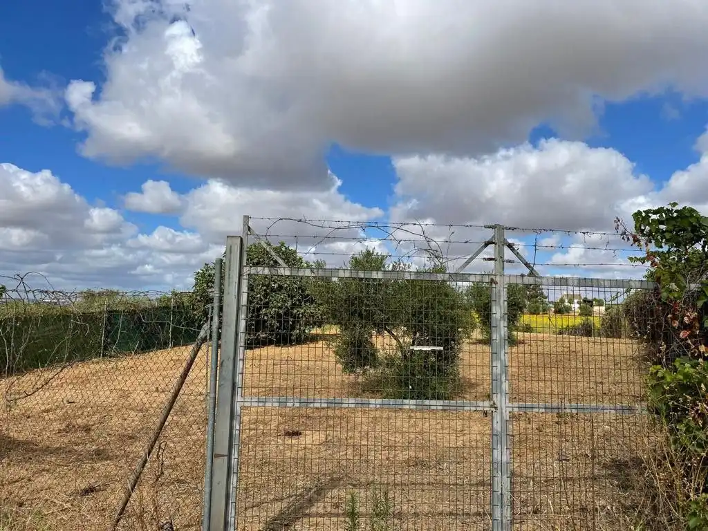 Terreny rústic en venda a Bollullos Par del Condado, imagen 2