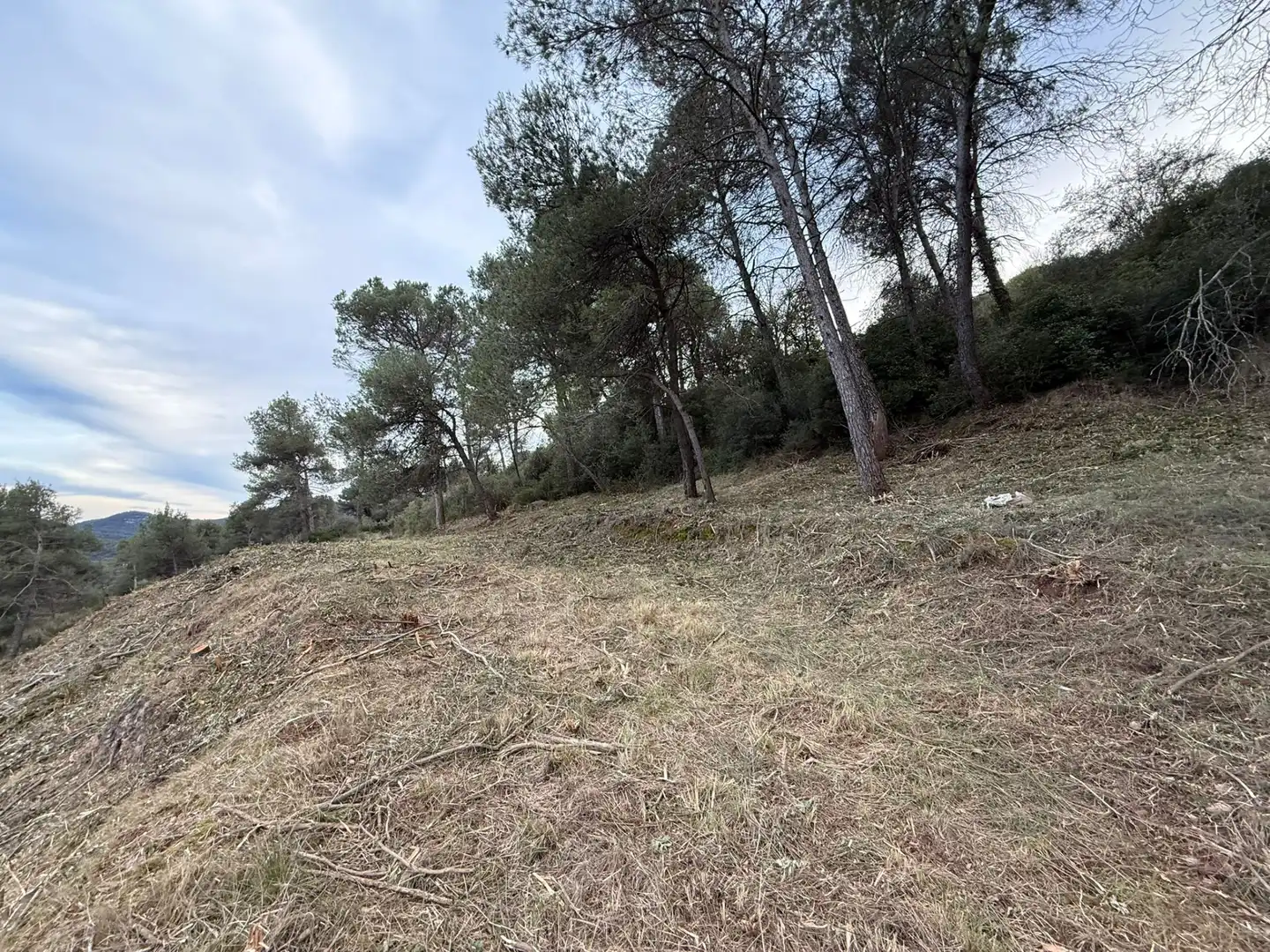 Terreny residencial en venda a Carrer del Turó Moliner 29, imagen 19