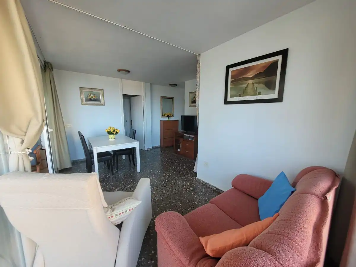 Apartament amb piscina de lloguer a Calle del Músico Agustín Bertomeu, imagen 5