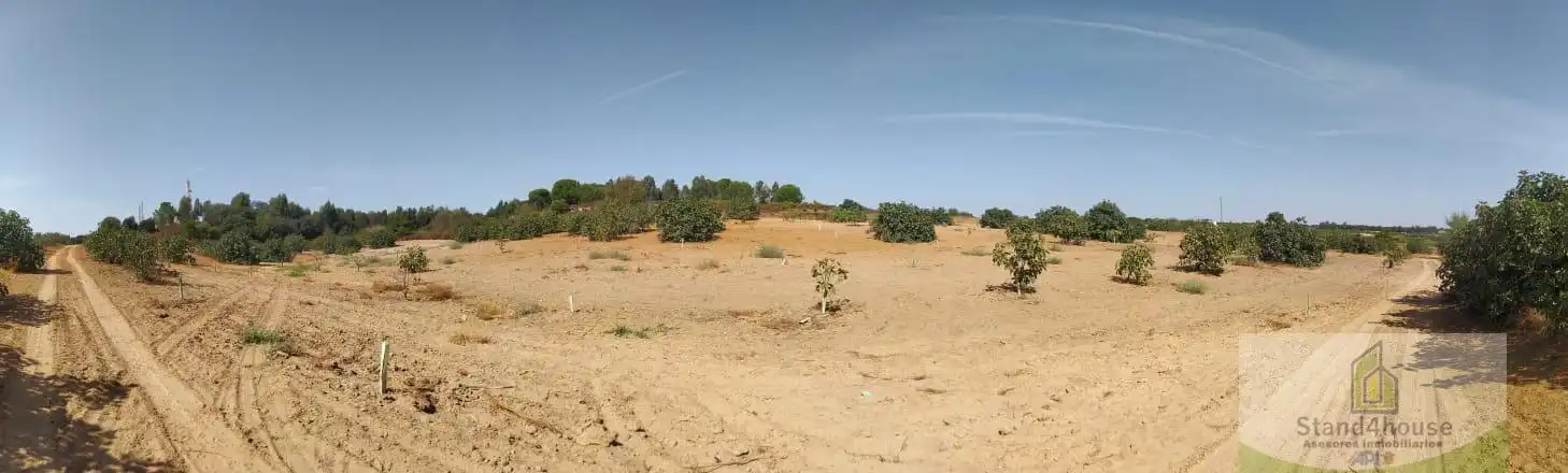 Finca rústica en venda a Villarrasa