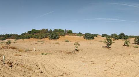 Foto 5 de Residencial en venda a Villarrasa, Huelva