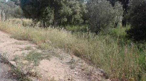 Photo 2 of Residential for sale in Garbi, 22, Pau, Girona