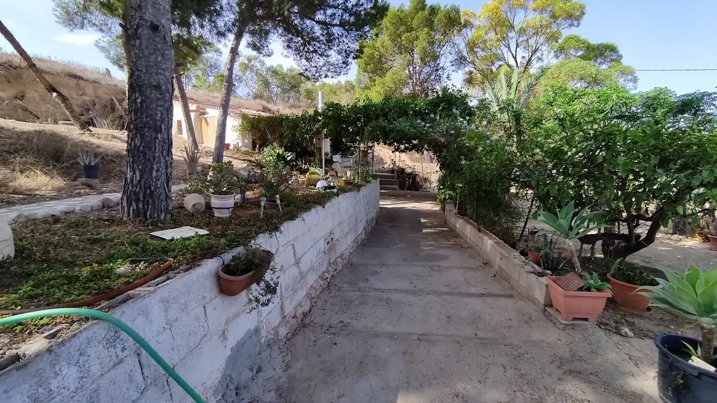 Jardí de Casa o xalet en venda en Elche / Elx amb Piscina