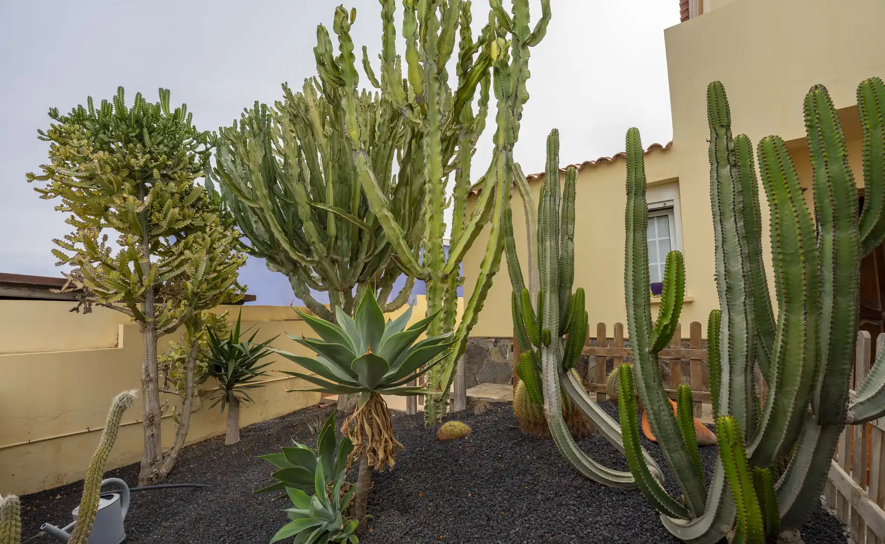 Garden of Houses for sale in Puerto del Rosario  with Private garden, Terrace and Storage room