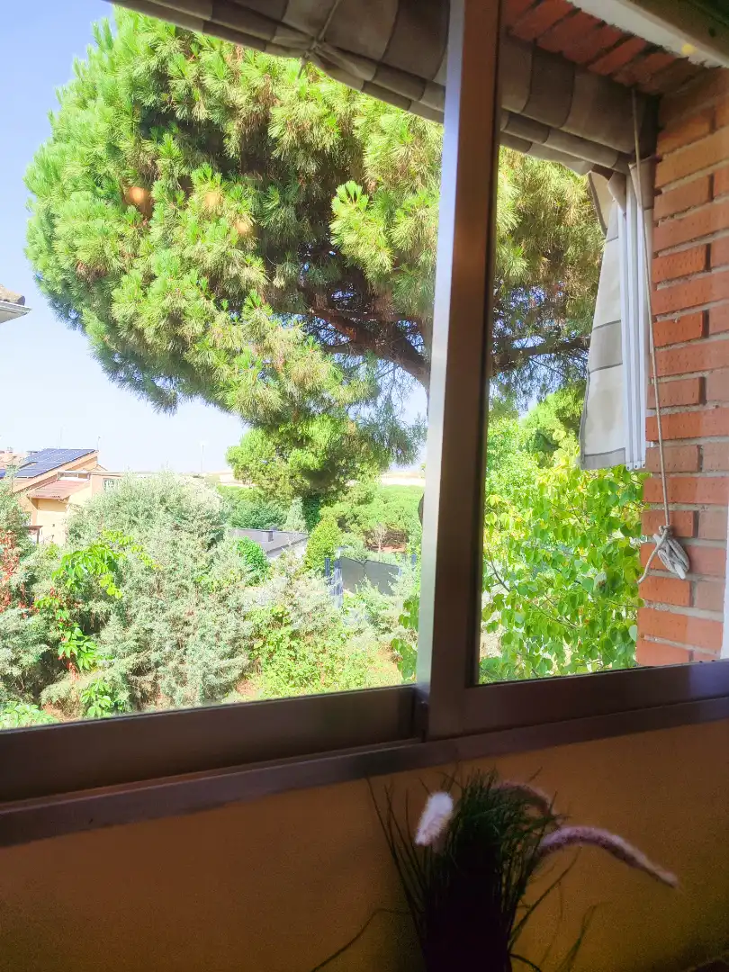 Villa mit Garten zum Verkauf in Calle Álamo 3, imagen 3