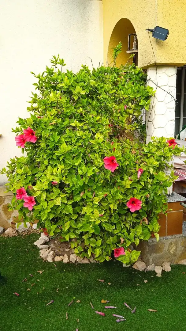 Garden of Houses for sale in Orihuela  with Air Conditioner, Heating and Private garden