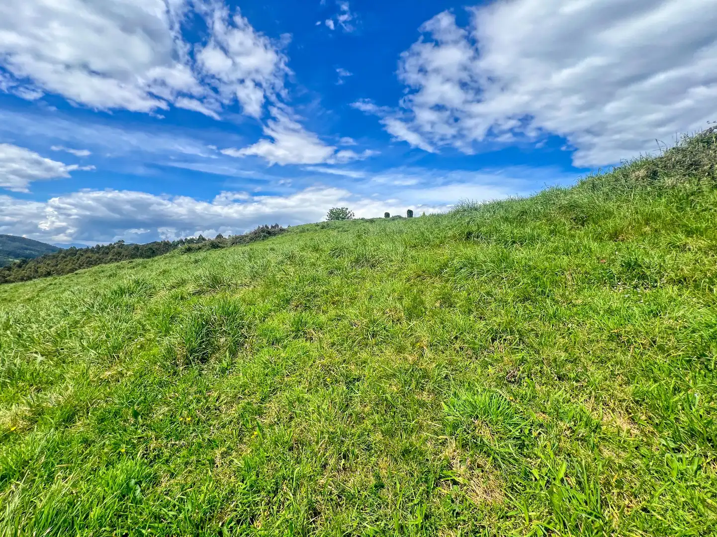 Lands and plots for sale in Pillarno, imagen 21