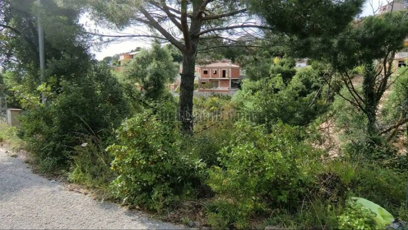 Terreny residencial en venda a Avinguda de la Senyera 79, imagen 3