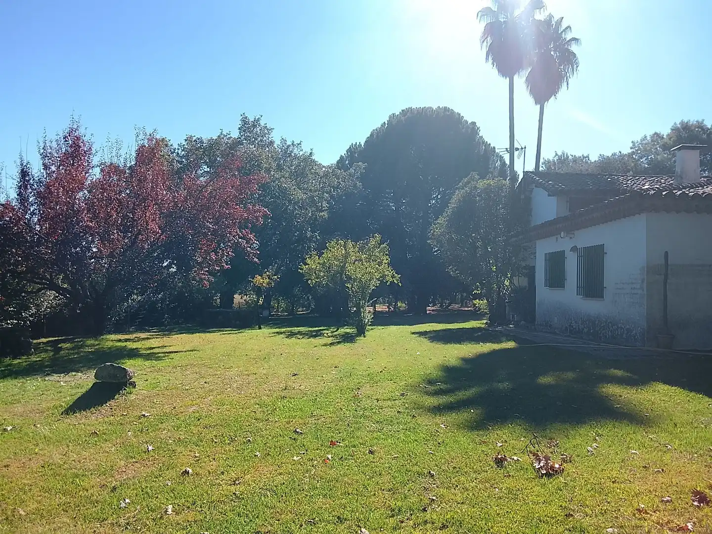Haus mit Garten zum Verkauf in Madrigal de la Vera, imagen 105
