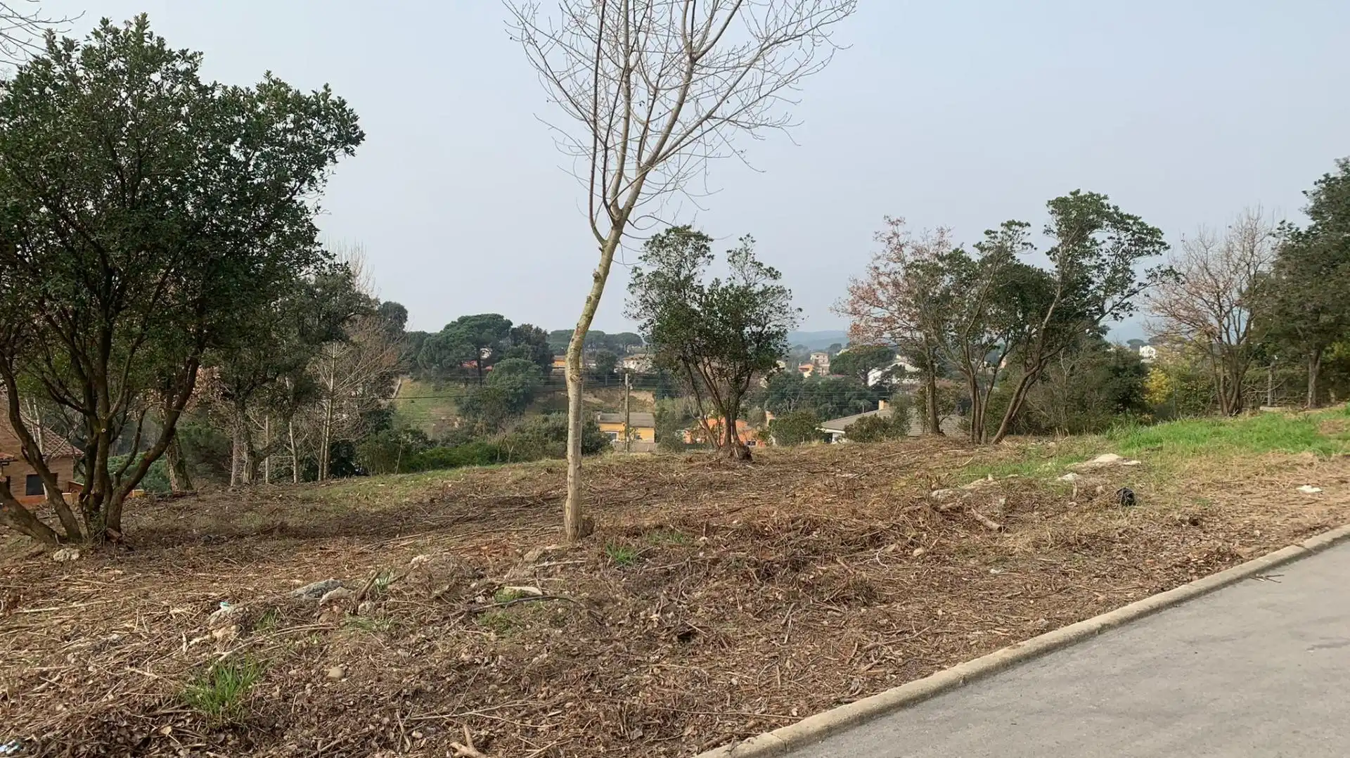 Terreno residencial en venta en Riells i Viabrea, imagen 2