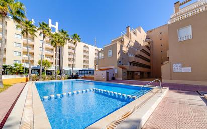 Piscina de Apartament en venda en Torrevieja amb Calefacció, Terrassa i Traster