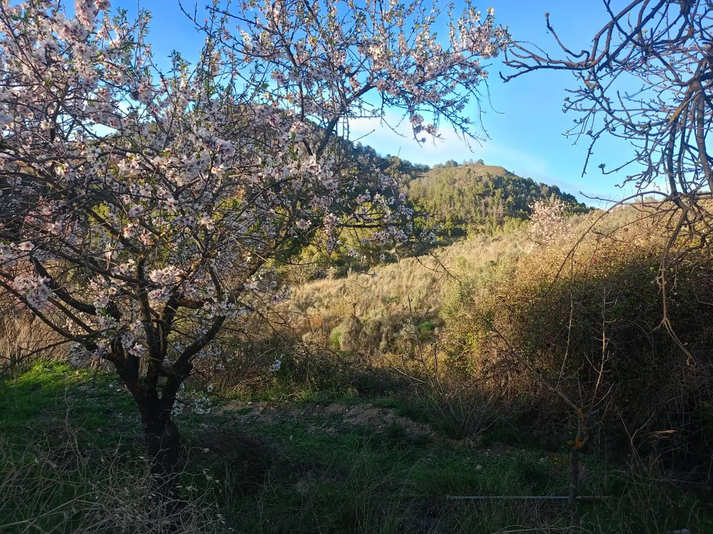 Maison rustique à vendre à Pedanías Centro, imagen 17