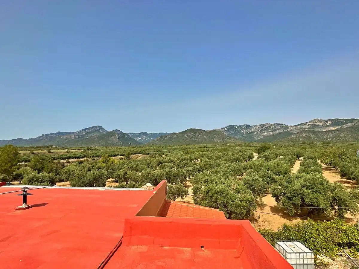 Jardí de Casa o xalet en venda en Xerta amb Terrassa
