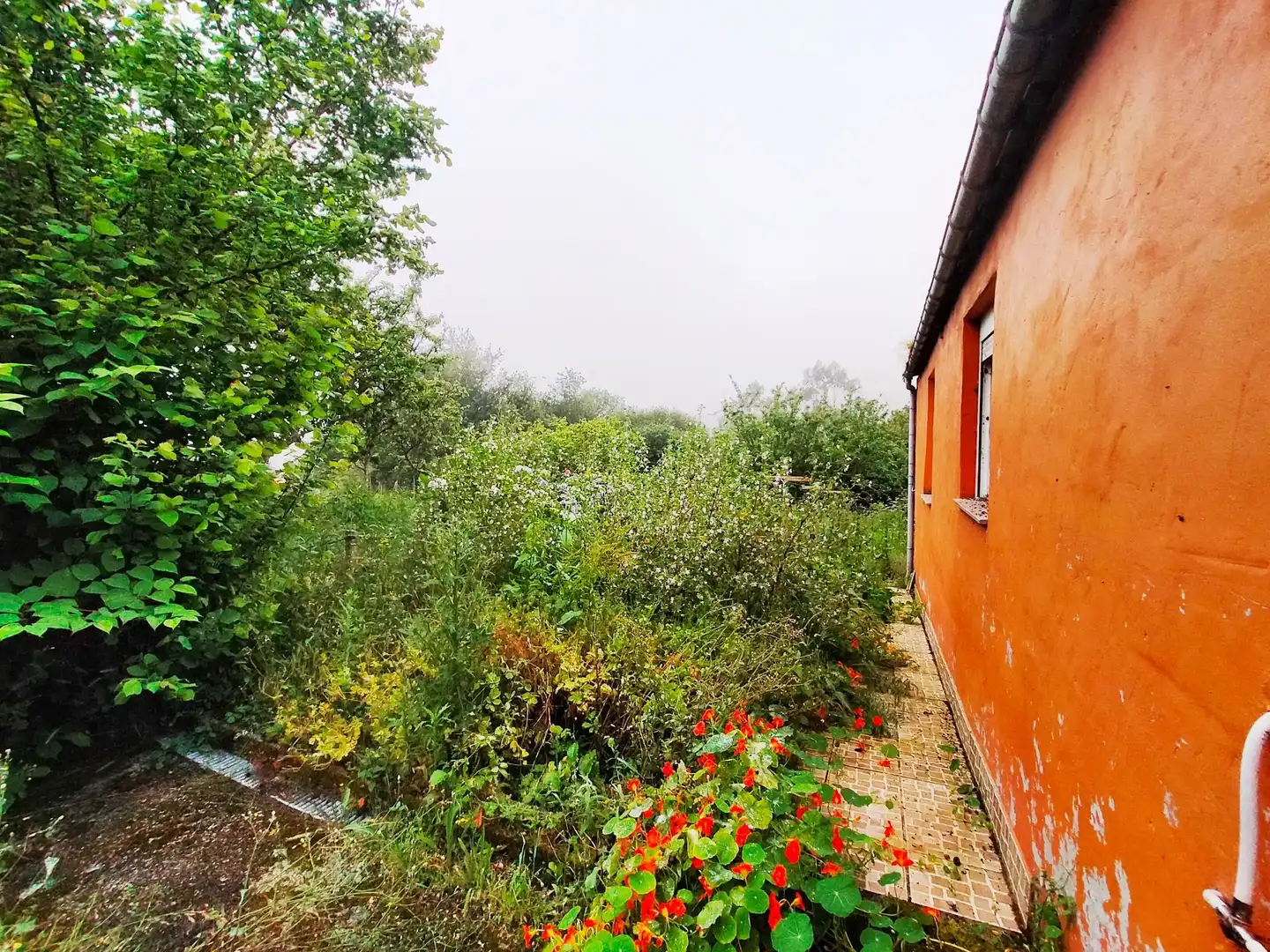 Finca rústica en venta en Pravia con Jardín privado