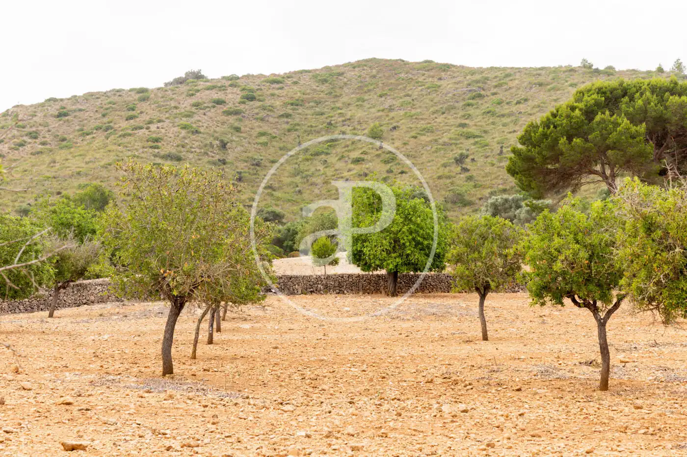 Residencial en venta en Manacor