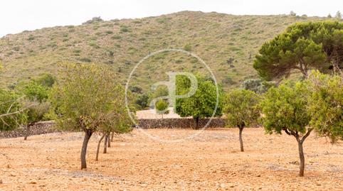 Photo 2 of Residential for sale in Cami De.'s Presos, Manacor Centre, Manacor