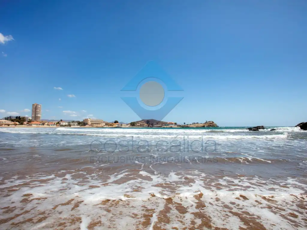 Vista exterior de Casa o chalet en venta en Mazarrón con Jardín privado, Terraza y Amueblado
