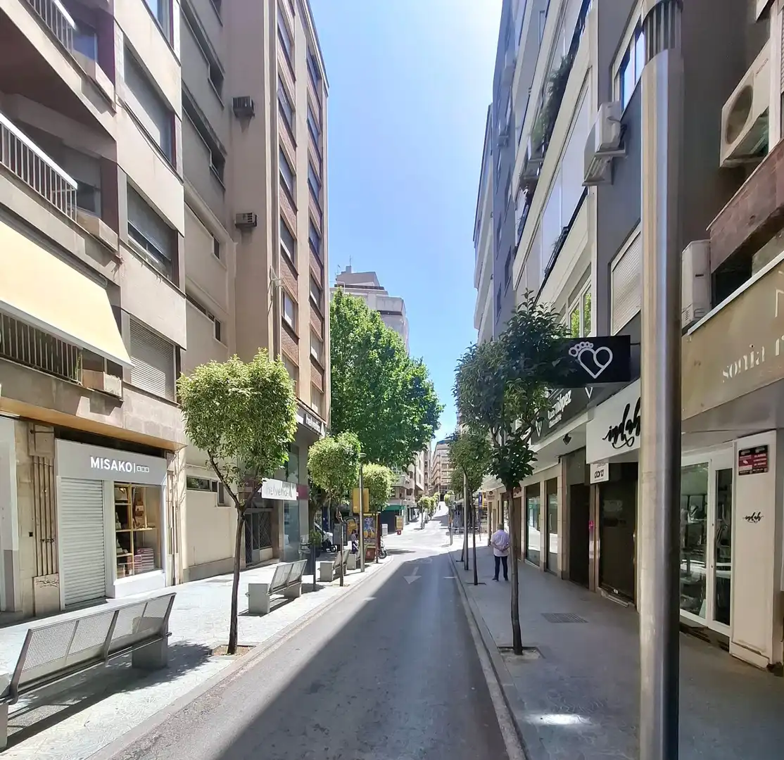 Pis amb ascensor en venda a Calle de la Madre Soledad Torres Acosta, imagen 50