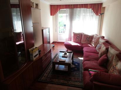 Living room of Flat for sale in Laudio / Llodio