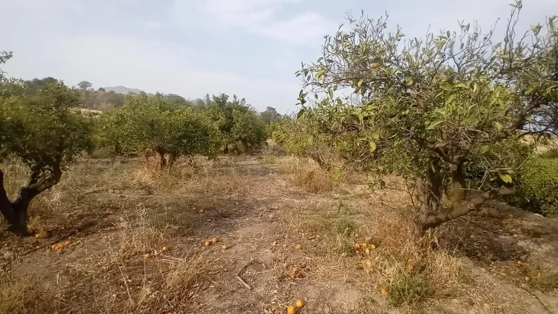 Rural land for sale in Altea ciudad, imagen 23