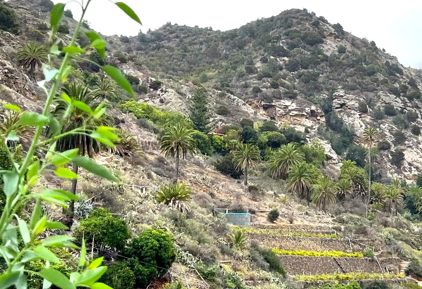 Vista exterior de Finca rústica en venta en Vallehermoso con Aire acondicionado, Calefacción y Jardín privado