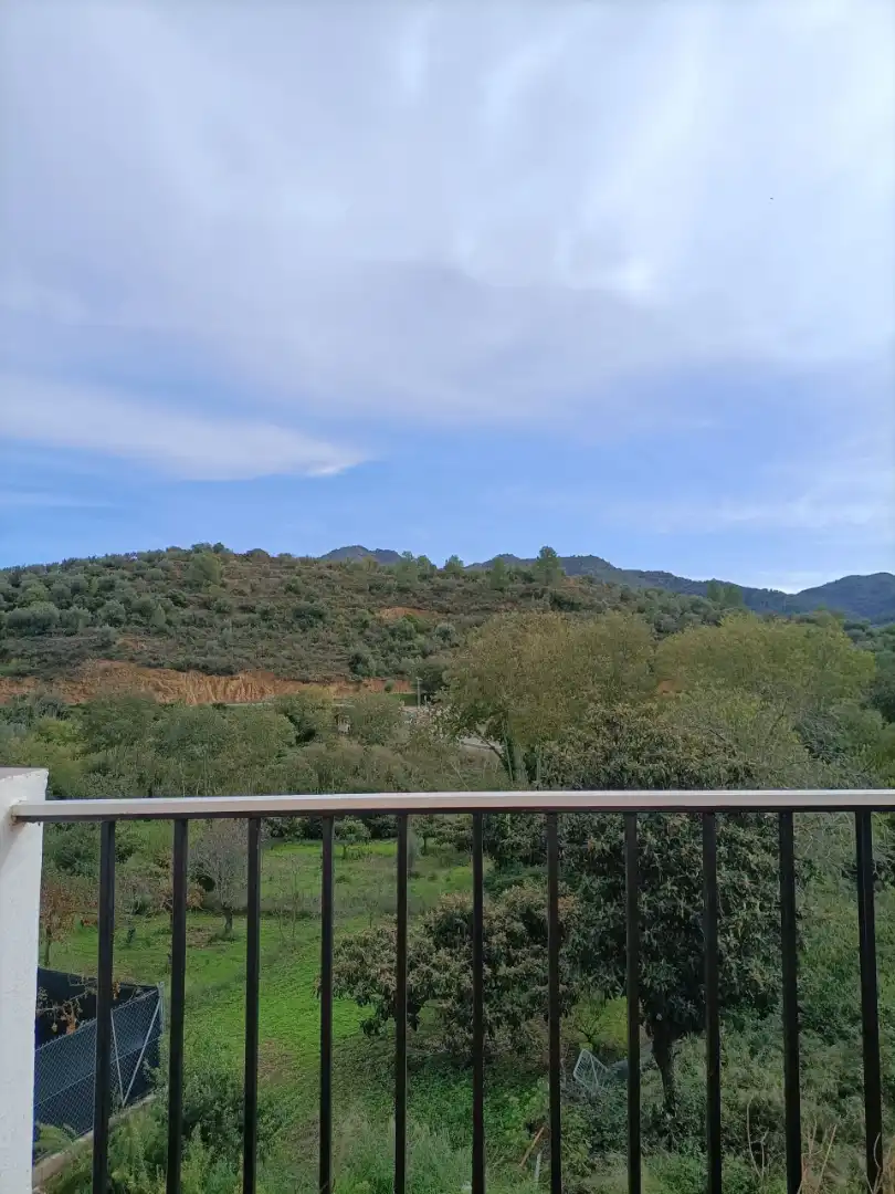 Vista exterior de Casa o xalet en venda en Algimia de Almonacid amb Jardí privat, Terrassa i Moblat