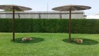 Jardí de Casa o xalet en venda en Jerez de la Frontera amb Aire condicionat, Jardí privat i Piscina