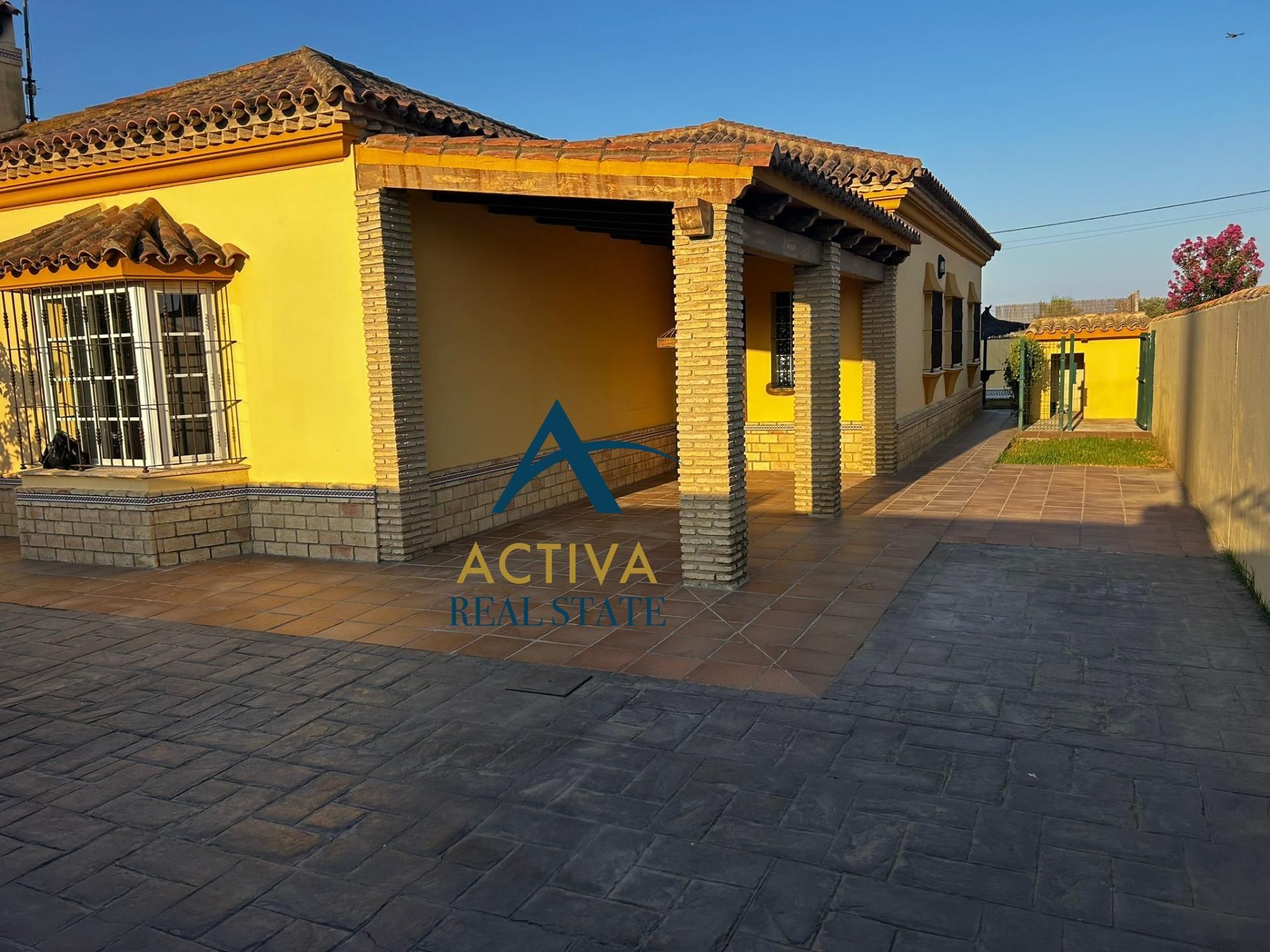Vista exterior de Casa o chalet en venta en Chiclana de la Frontera con Jardín privado, Terraza y Piscina