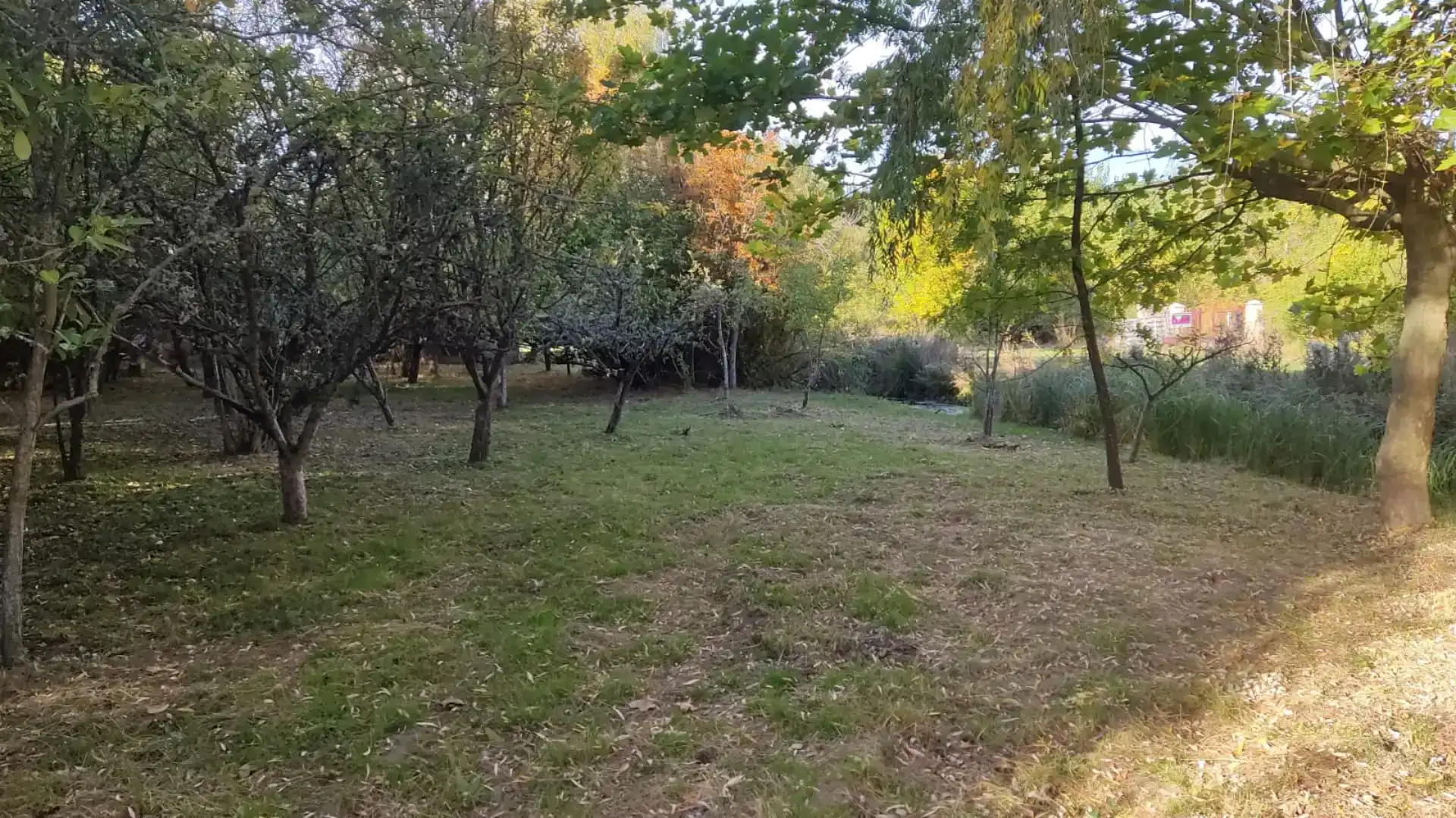 Finca rústica en venda en Santa Colomba de Curueño, León