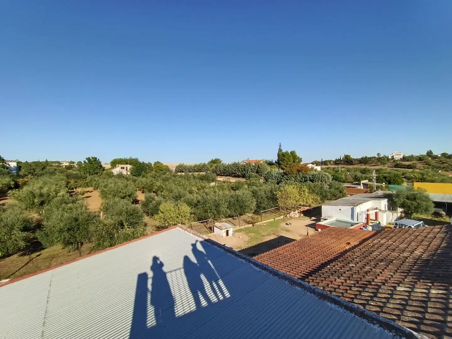 Terrace of Land for sale in Sur