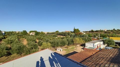 VENTA DE FINCA  EN EL TERMINO MUNICIPAL  DE MERIDA , CON VIVIENDA Y PISCINA ., immagine 4