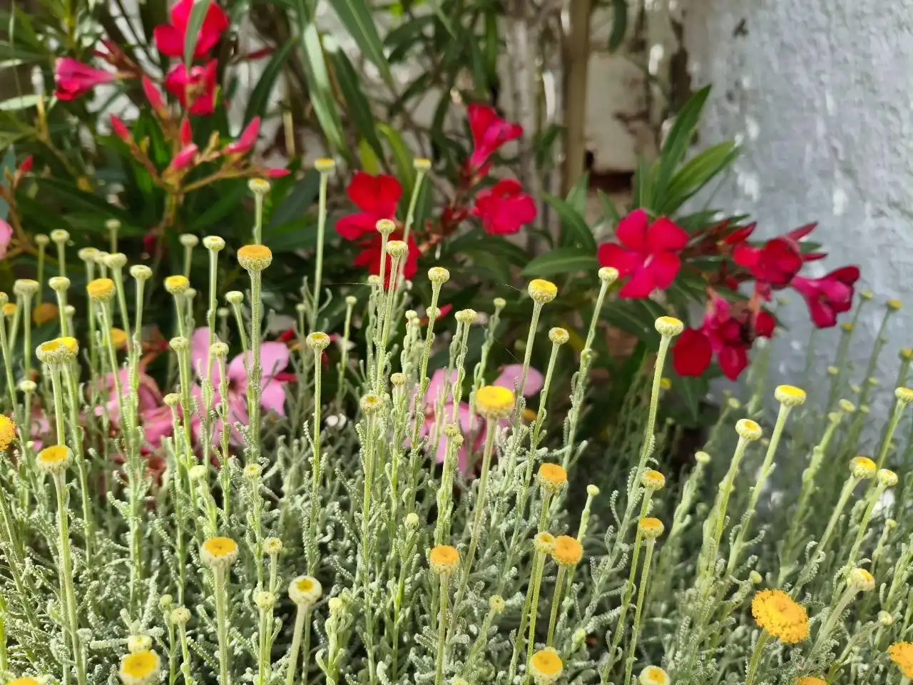 Garden of Houses for sale in Elche / Elx  with Air Conditioner, Private garden and Terrace