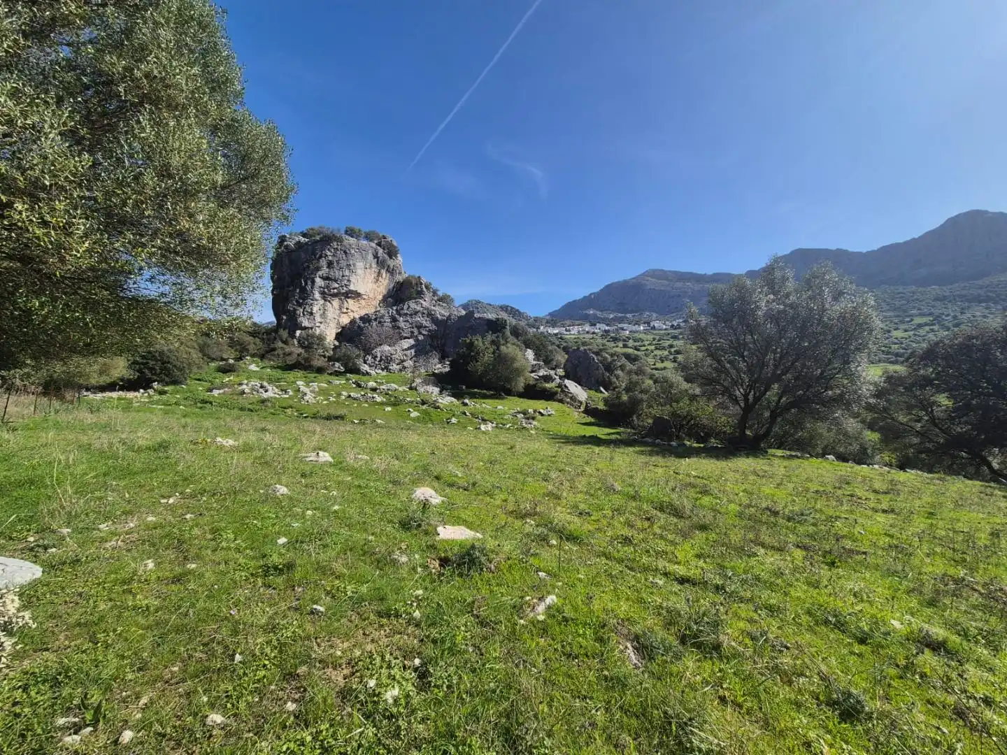 Grundstücke zum Verkauf in Benaocaz