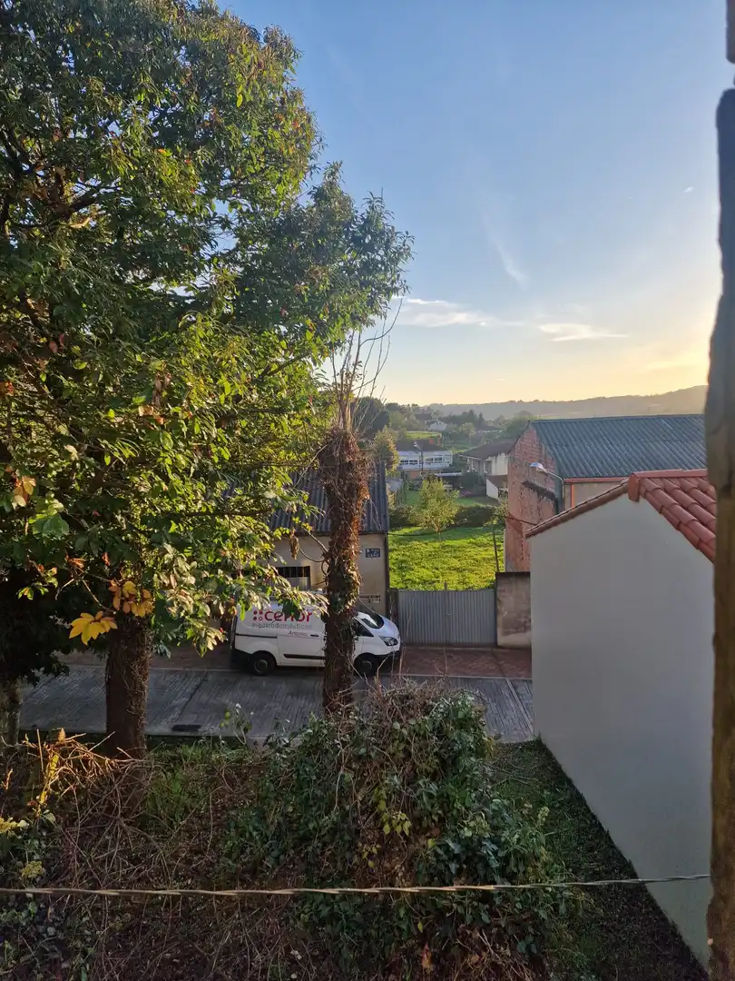 Exterior view of Houses for sale in Arzúa  with Private garden, Terrace and Furnished