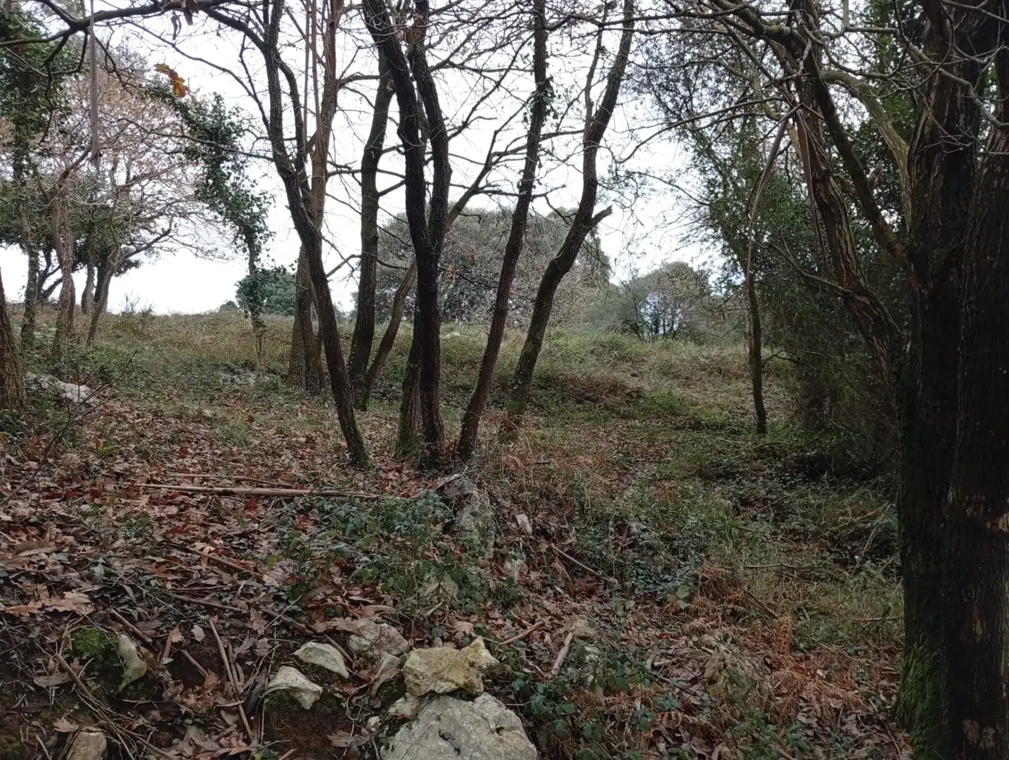 Lands and plots for sale in Cuchía, imagen 4