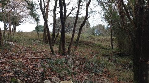 Photo 4 of Land for sale in Cuchía, Miengo