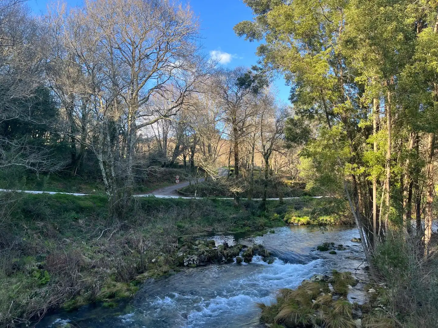 Terreno rustico in vendita a O Rosal, imagen 3