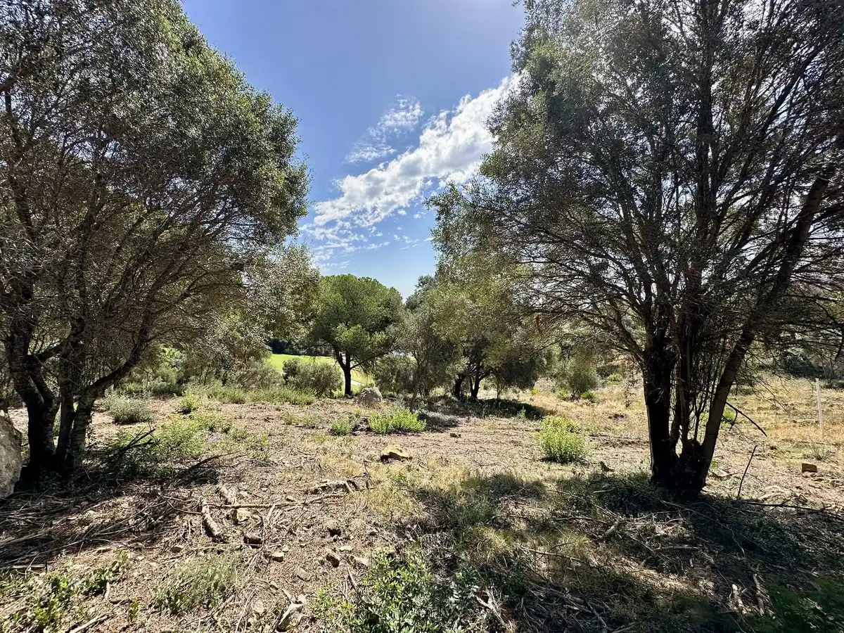 Terreni e lotti in vendita a Lugar Sotogrande 417, imagen 5