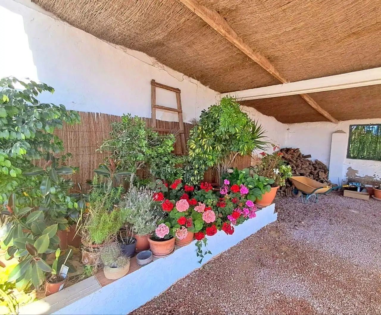 Garden of Houses for sale in Elche / Elx  with Air Conditioner, Private garden and Terrace