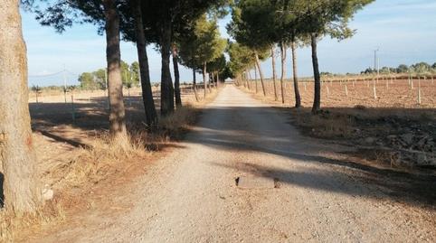 Foto 2 de Finca rústica en venta en Alcázar de San Juan, Ciudad Real