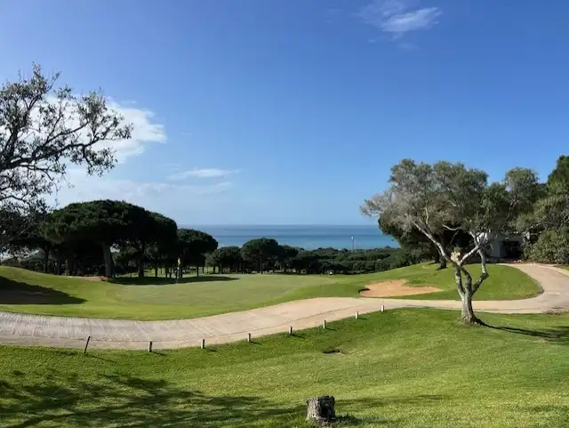 Vista exterior de Planta baixa en venda en Marbella amb Aire condicionat, Calefacció i Jardí privat