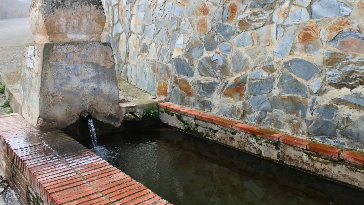 Piscina de Casa o xalet en venda en Malcocinado amb Jardí privat i Traster