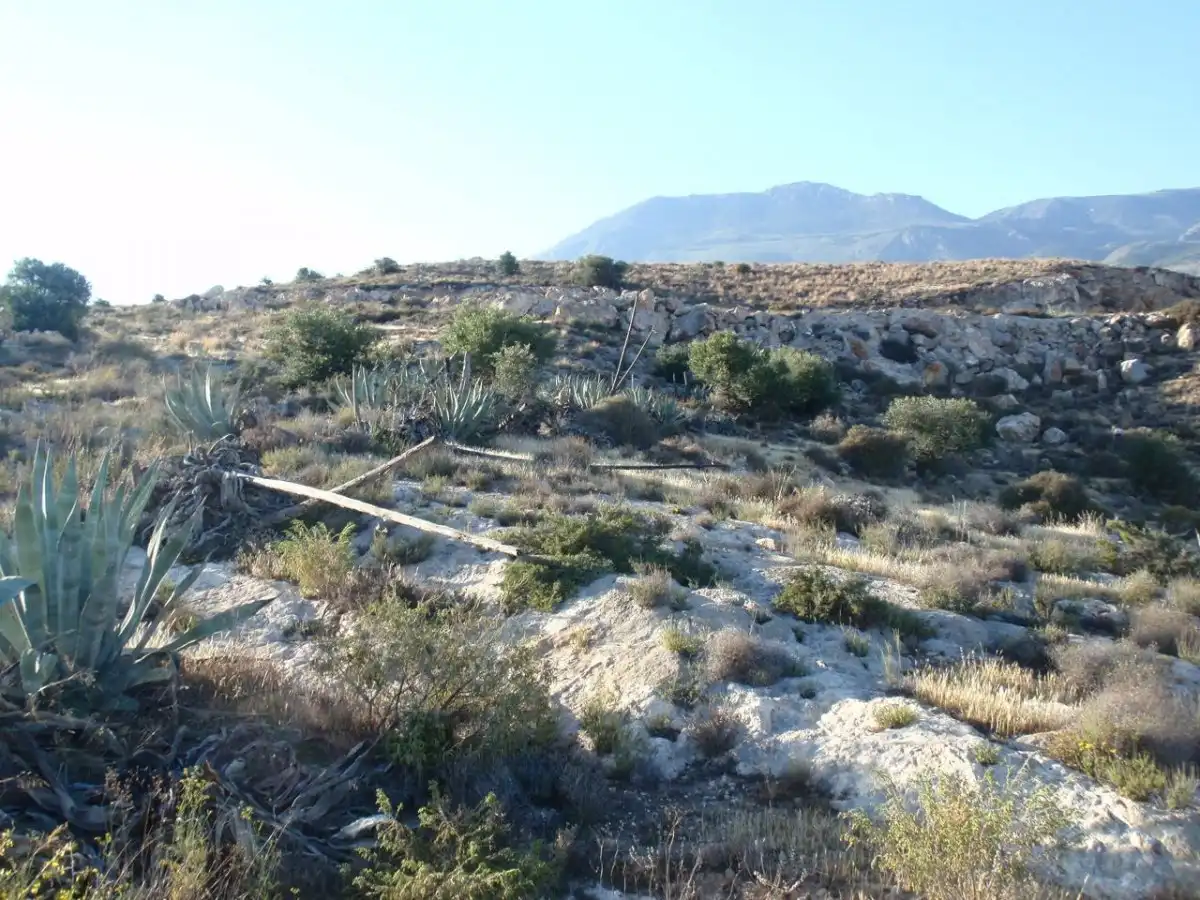 Finca rústica en venta en Dalías