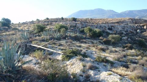 Foto 3 de Finca rústica en venta en Dalías, Almería