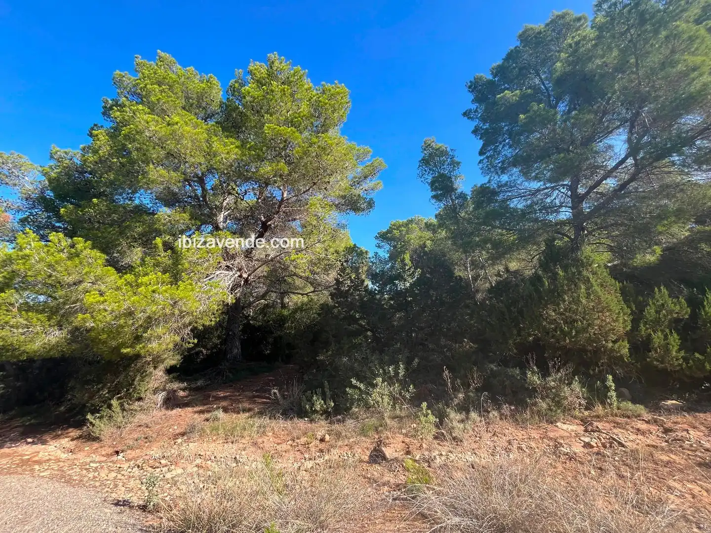 Terreno en venta en de Cala d'Hort, Es Cubells