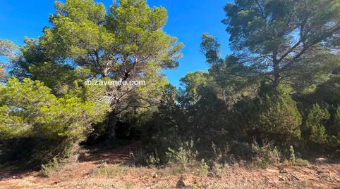 Foto 4 de Terreno en venta en De Cala D'hort, Es Cubells, Sant Josep de sa Talaia