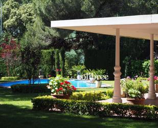 Jardí de Casa o xalet en venda en Sant Andreu de Llavaneres amb Terrassa i Piscina