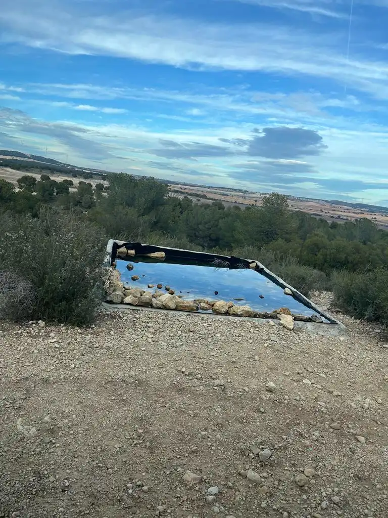 Terrenos y solares en venta en Hellín, imagen 10